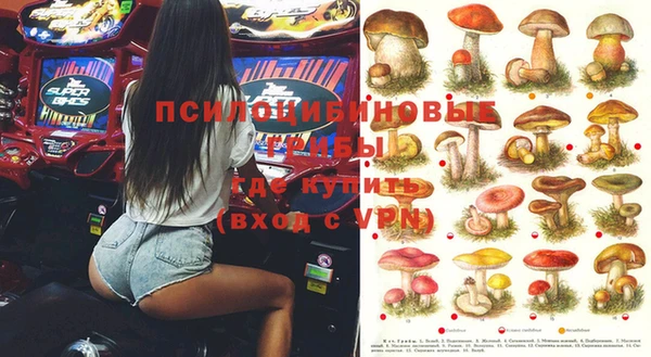 2c-b Бронницы