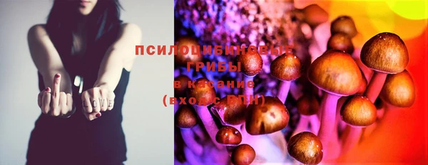 дмт Богородицк
